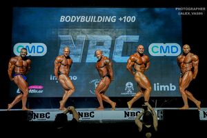 BODYBUILDING +100